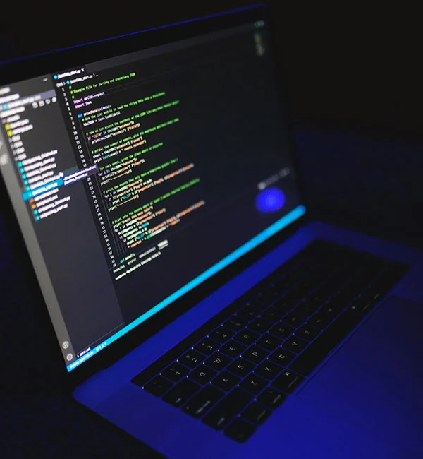 Photo by Nemuel Sereti: https://www.pexels.com/photo/computer-coding-on-a-computer-screen-6424589/